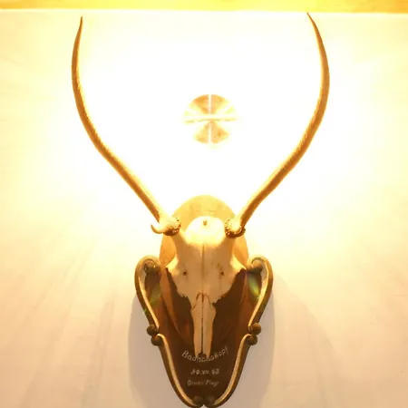 Schmiedhof アパート *