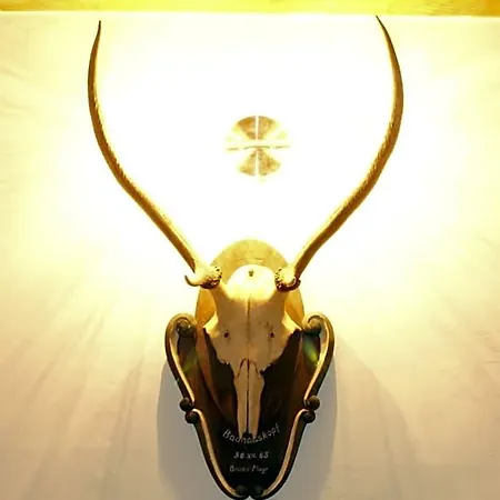 Schmiedhof * Τσελ αμ Ζέε